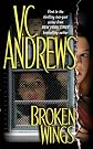 Broken Wings