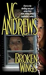 Broken Wings