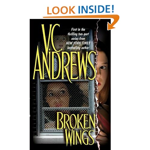 Broken Wings