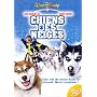 Chiens des neiges