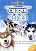 DVD : Chiens des neiges
