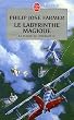 Le Fleuve de l'�ternit�, tome 4 : Le Labyrinthe magique