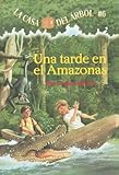 Afternoon on the Amazon