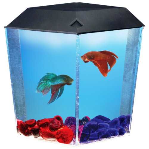 Aquarius AQ11204 BettaView Brite Corner Tank