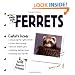 The Simple Guide to Ferrets