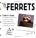 The Simple Guide to Ferrets (Simple Guide to...)