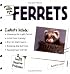 The Simple Guide to Ferrets (Simple Guide to...)
