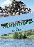 World in Transition