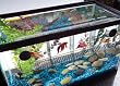 TOM Aquarium Accessories Betta Security House with Lid - 4 compartments