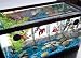 TOM Aquarium Accessories Betta Security House with Lid - 4 compartments