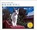 2010週めくり 岩合光昭×ねこ