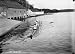 1915 YALE VARSITY CREW ROWING TEAM PHOTO