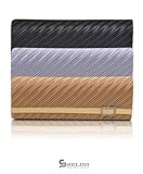 BG Silk Satin Pleated Flap Front Clutch Evening Bag