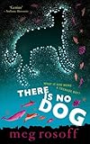 There is no dog