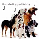 Dog Song Mixed Dogs Birthday Card
