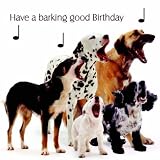 Dog Song Mixed Dogs Birthday Card