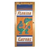 Florida Gators NCAA Door Flag