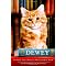 Cats..Kittens...For Cat Lovers