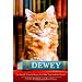 Favorite Books !