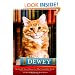 Dewey: The Small-Town Library Cat Who Touched the World