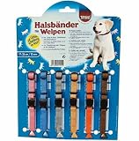 Welpenhalsbnder 6er Set 6 verschieden Farben
