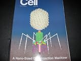 Cell (A Nano-Sized DNA Injection Machine, 118)