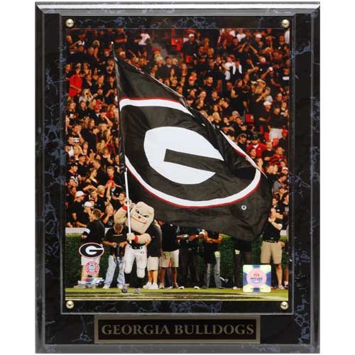 Georgia Bulldogs 10.5'' x 13'' Mascot Plaque