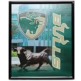 South Florida Bulls 8 x 10 Black Campus Framed Photo