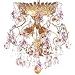 The Find Temptation Chandelier