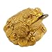 Wschic Feng Shui Money Frog, Lucky Chinese Toad with Coin,Ideal for Office and Home Decoration