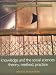 Knowledge and the Social Sciences: Theory, Method and Practice (Understanding Social Change)
