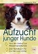 Aufzucht junger Hunde