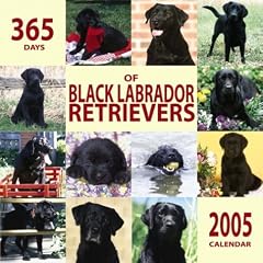 Black Labrador Retrievers 365 Days 2005 Calendar