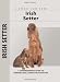 Irish Setter (Comprehensive Owner's Guide)