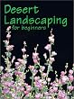 Desert Landscaping for Beginners: Tips and Techniques for Success in an Arid Climate
