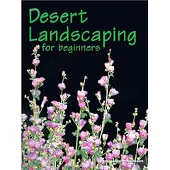 Desert Landscaping for Beginners: Tips and Techniques for Success in an Arid Climate