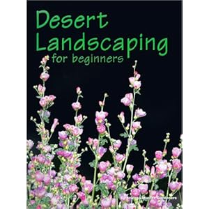 Desert Landscaping for Beginners: Tips and Techniques for Success in an Arid Climate