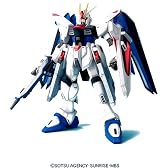 1/60 フリーダムガンダム (機動戦士ガンダムSEED)