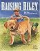 Raising Riley: A Kid's First Lab Puppy