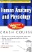 Schaum's Outline of Human Anatomy and Physiology by Kent Van De Graaff, R. Ward Rhees