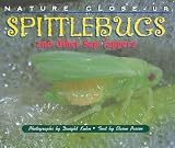 Nature Close-Up - Spittlebugs and Other Sap Tappers