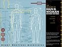 The Measure of Man and Woman: Human Factors in Design
