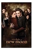 Cullens Group - New Moon - Twilight - Maxi Poster - 61 cm x 91.5 cm