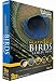 Webster's Millennium 2003 Birding Collection