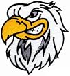 Bald Eagle Embroidered Patch American Patriotic Iron-On Bird Emblem
