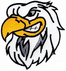 Bald Eagle Embroidered Patch American Patriotic Iron-On Bird Emblem