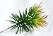 8 Capensia Bush, Artificial Plant by StarPlants