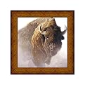 Chief by Robert Bateman- 30.5x30.5"