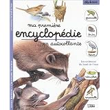 Détails sur le produit
