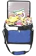 Insulated Cooler Bag